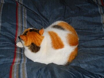 12月20日（21）仮