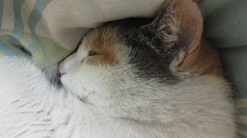 (3)使用