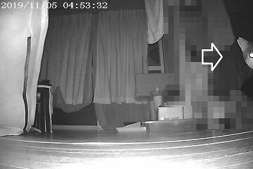 11月5日（16）仮