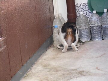 9月30日（7-2）仮