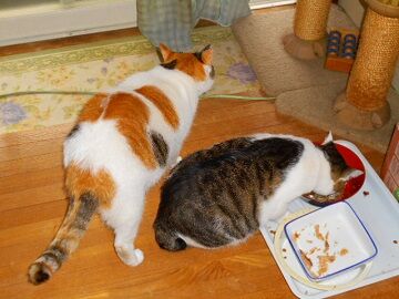 10月26日（14）仮