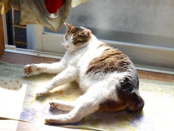 4月30日（37）仮