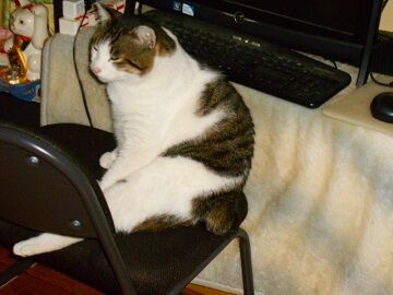 1月29日（36）仮