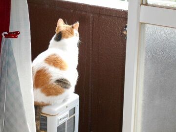 9月7日（7-1）仮