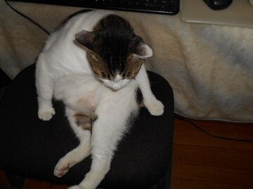 9月22日（10-2）仮