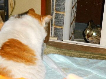 5月23日（54）仮