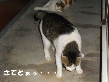 9月24日（19-11）仮