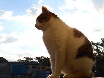 12月29日（44）仮