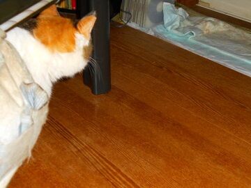 10月22日（17）仮