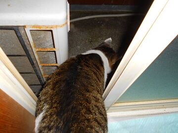 12月24日（48）仮