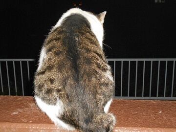 9月14日（20-2）仮