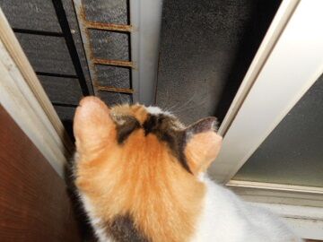 9月27日（18-3）仮