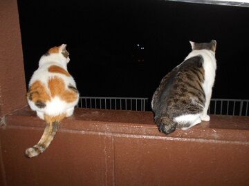 9月24日（23-23）仮