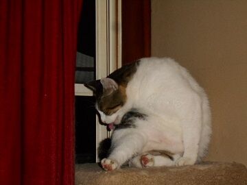 9月27日（19-1）仮