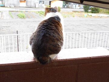 3月17日（10）仮