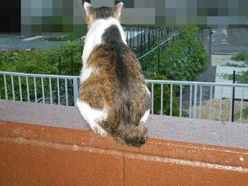 6月13日（65）仮