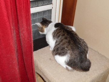 7月14日（21）仮