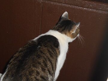 9月28日（4-10）仮