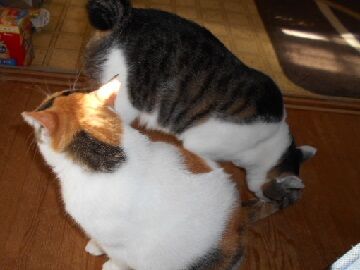 9月26日（47）仮