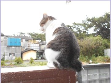 8月23日（32）仮