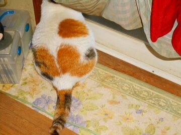 5月24日（21）仮