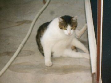 5月31日（11）仮