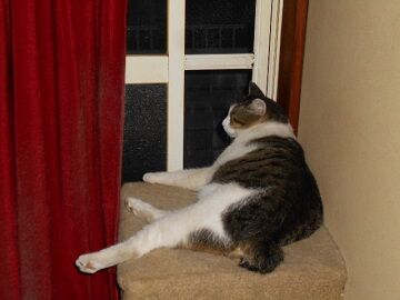 9月17日（22-2）仮