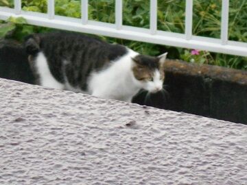 8月24日（44）仮