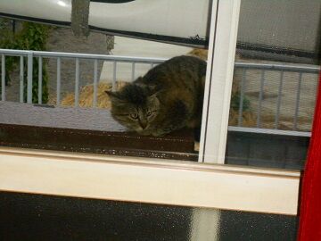 5月28日（38）仮