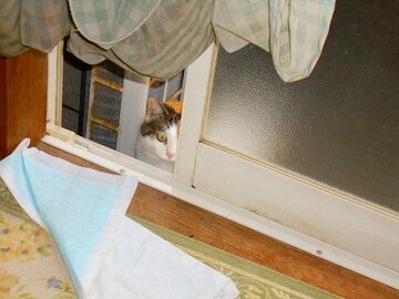 2月10日（63）仮