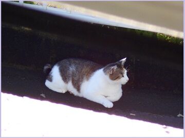 6月13日（22）仮