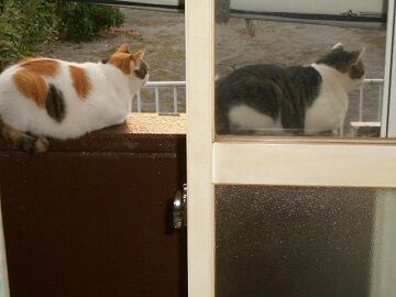 10月2日（27）仮