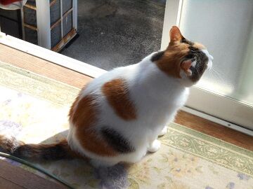 10月2日（9-4）仮