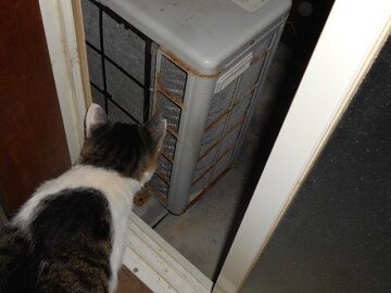 9月29日（0-7）仮