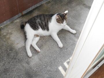 9月18日（8-2）仮