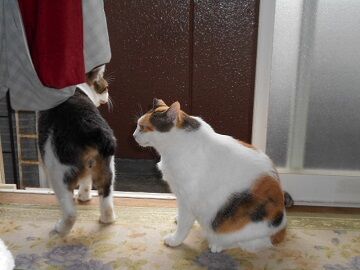 10月2日（15-13）仮