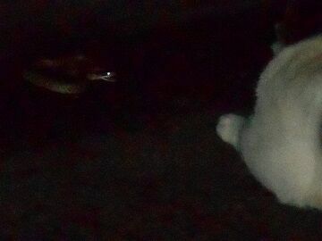 6月22日（24）仮