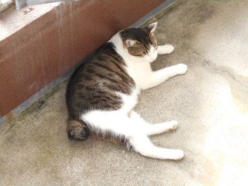 9月13日（7-1）仮