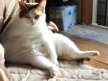 9月30日（7-24）仮