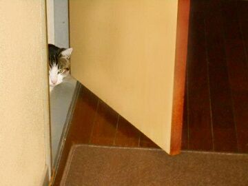 12月31日（57）仮