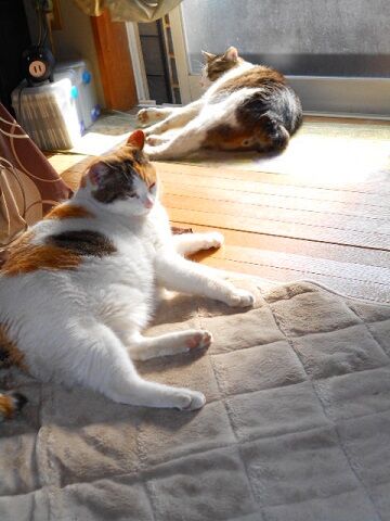 4月30日（35）仮