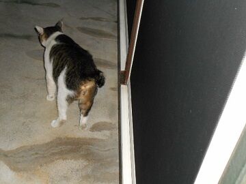 9月14日（20-3）仮