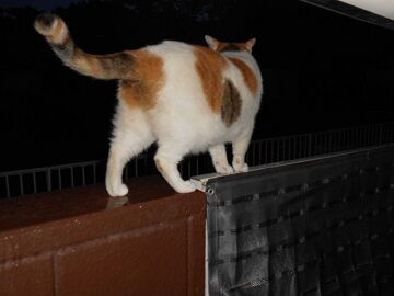 9月3日（18－4）仮