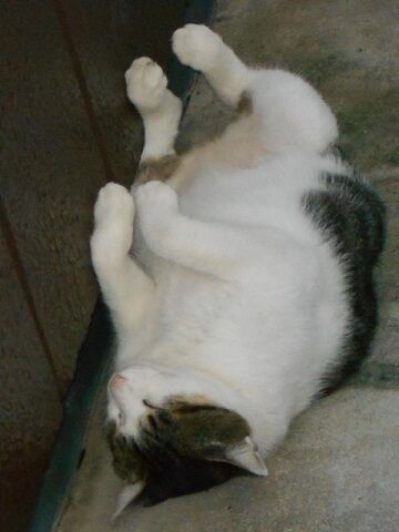 9月14日（16-3）仮