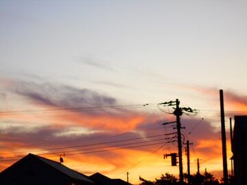 10月26日（6）仮