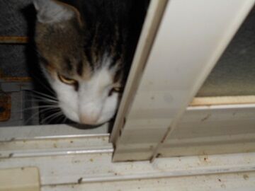 10月1日（5-3）仮