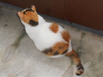 9月7日（9-3）仮