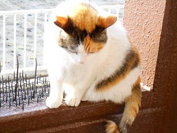 5月23日（32）仮