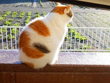 11月30日（18）仮