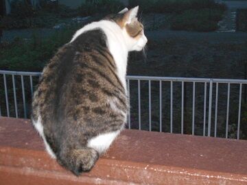 10月1日（5-7）仮